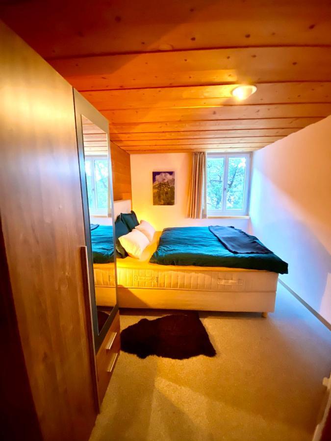 Appartement Aareschlucht- Grandiose Aussicht Fuer 2-6 Pers. Meiringen Ngoại thất bức ảnh
