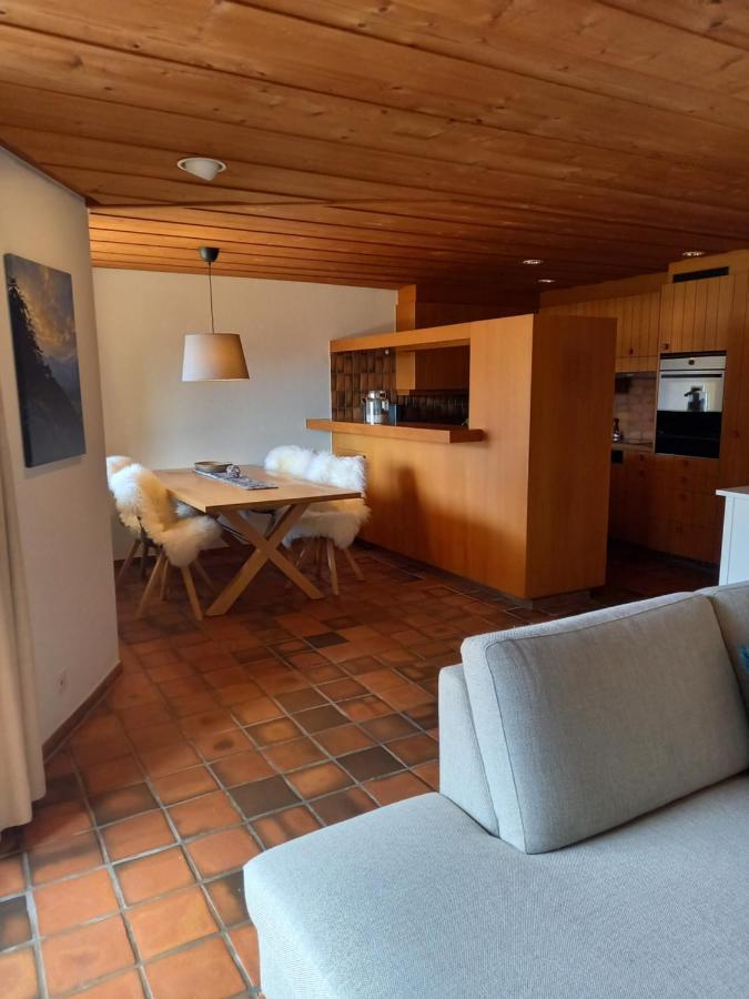 Appartement Aareschlucht- Grandiose Aussicht Fuer 2-6 Pers. Meiringen Ngoại thất bức ảnh